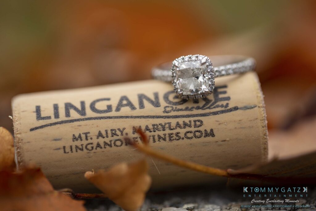 Engagement ring on a wine cork from Linganore Winecellars, Mt. Airy, Maryland.